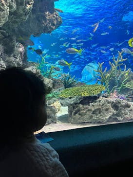 サンシャイン水族館に投稿された画像（2024/1/7）