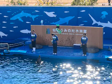 仙台うみの杜水族館に投稿された画像（2024/1/7）