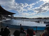 京都水族館に投稿された画像（2024/1/7）