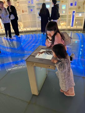 国立科学博物館に投稿された画像（2024/1/7）