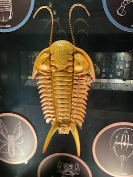 国立科学博物館に投稿された画像（2024/1/7）