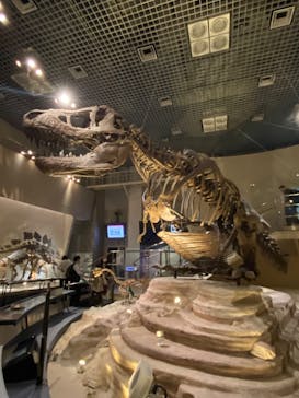 国立科学博物館に投稿された画像（2024/1/7）