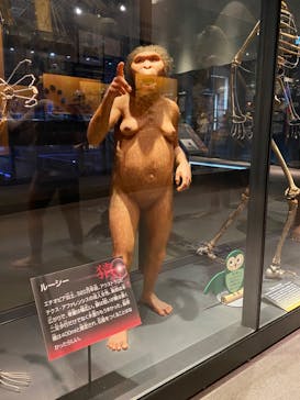 国立科学博物館に投稿された画像（2024/1/7）