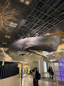 国立科学博物館に投稿された画像（2024/1/7）