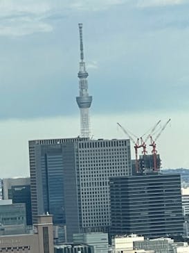 東京タワーに投稿された画像（2024/1/7）