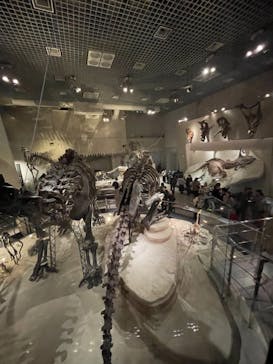 国立科学博物館に投稿された画像（2024/1/7）