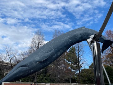 国立科学博物館に投稿された画像（2024/1/7）