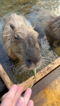 那須どうぶつ王国に投稿された画像（2024/1/7）