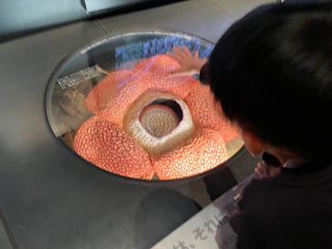 国立科学博物館に投稿された画像（2024/1/7）