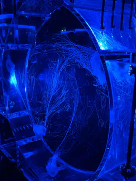 マクセル アクアパーク品川に投稿された画像（2024/1/7）