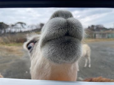 岩手サファリパークに投稿された画像（2024/1/7）