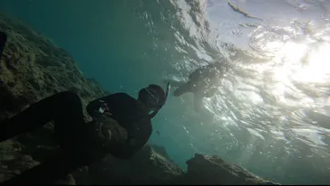 武藤潜水に投稿された画像（2024/1/7）