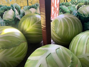 鈴鹿サーキットに投稿された画像（2024/1/7）