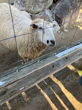 神戸どうぶつ王国に投稿された画像（2024/1/7）