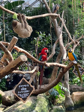 神戸どうぶつ王国に投稿された画像（2024/1/7）