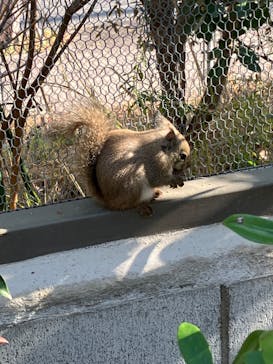 神戸どうぶつ王国に投稿された画像（2024/1/7）