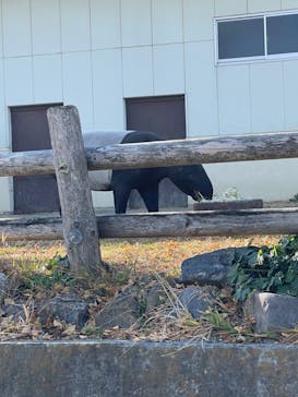東武動物公園に投稿された画像（2024/1/7）
