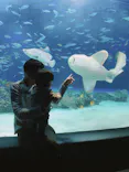 サンシャイン水族館に投稿された画像（2024/1/7）