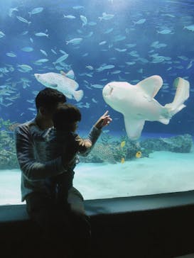 サンシャイン水族館に投稿された画像（2024/1/7）