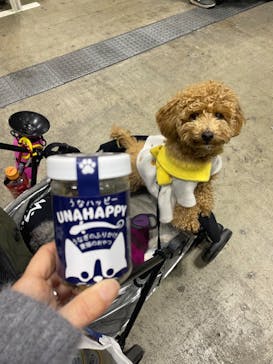 Pet博2026 横浜に投稿された画像（2024/1/7）