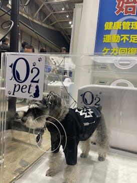 Pet博2026 横浜に投稿された画像（2024/1/7）