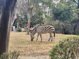 天王寺動物園に投稿された画像（2024/1/7）