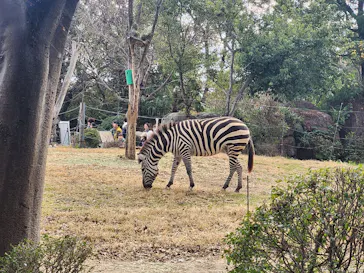 天王寺動物園に投稿された画像（2024/1/7）
