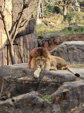 天王寺動物園に投稿された画像（2024/1/7）