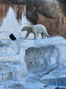 天王寺動物園に投稿された画像（2024/1/7）