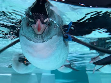 AOAO SAPPOROに投稿された画像（2024/1/7）