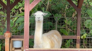 ネオパークオキナワに投稿された画像（2024/1/7）