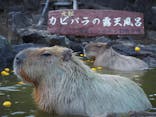 伊豆シャボテン動物公園に投稿された画像（2024/1/7）