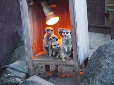 伊豆シャボテン動物公園に投稿された画像（2024/1/7）