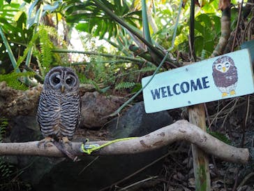 伊豆シャボテン動物公園に投稿された画像（2024/1/7）