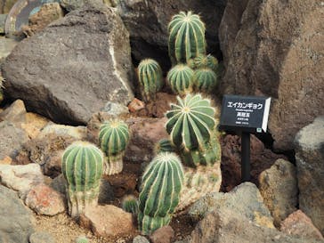 伊豆シャボテン動物公園に投稿された画像（2024/1/7）