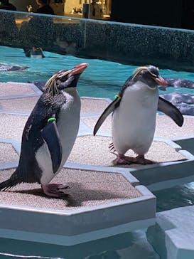 AOAO SAPPOROに投稿された画像（2024/1/7）