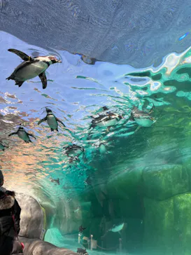 天王寺動物園に投稿された画像（2024/1/7）