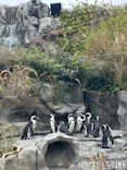 サンシャイン水族館に投稿された画像（2024/1/7）