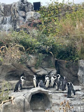 サンシャイン水族館に投稿された画像（2024/1/7）