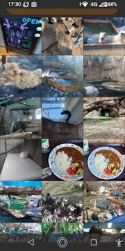 那須どうぶつ王国に投稿された画像（2024/1/7）