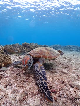 ちゃこたびに投稿された画像（2024/1/7）