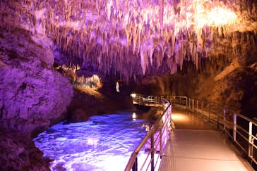 おきなわワールドに投稿された画像（2024/1/7）