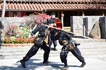 おきなわワールドに投稿された画像（2024/1/7）