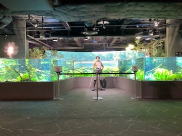 カワスイ 川崎⽔族館に投稿された画像（2024/1/7）