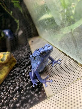 カワスイ 川崎⽔族館に投稿された画像（2024/1/7）