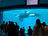 名古屋港水族館に投稿された画像（2024/1/7）