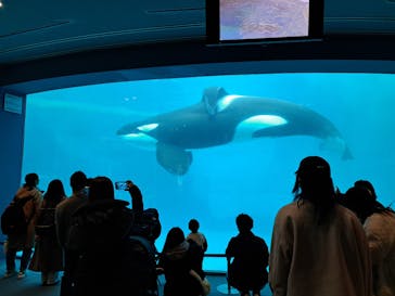 名古屋港水族館に投稿された画像（2024/1/7）