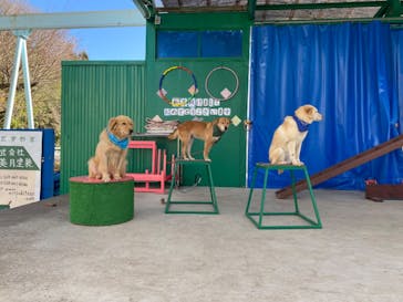 宇都宮動物園に投稿された画像（2024/1/7）