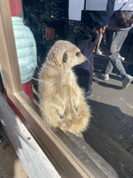宇都宮動物園に投稿された画像（2024/1/7）
