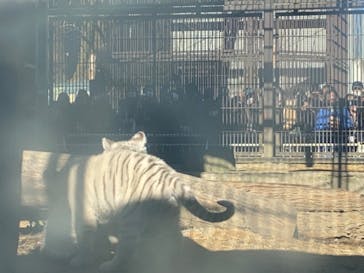 宇都宮動物園に投稿された画像（2024/1/7）